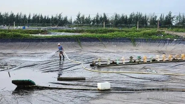 chuyen la nuoi tom cong nghe cao o thai binh