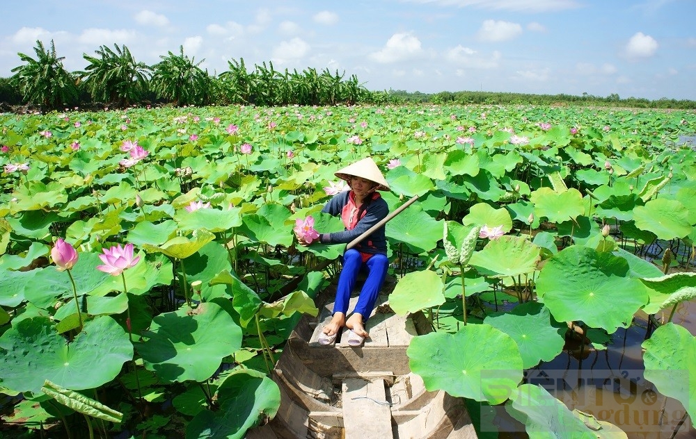 cong nghe 40 dua dong thap bat nhip voi xu the du lich thong minh