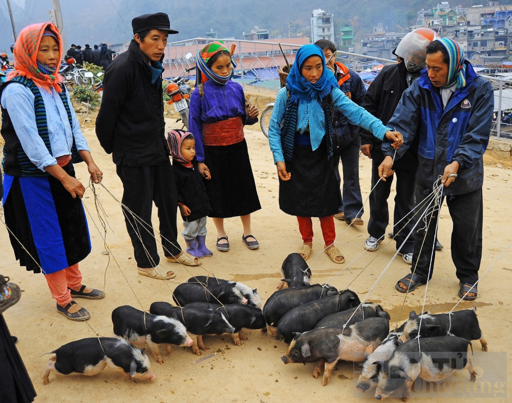 di cho phien ha giang trai nghiem doc dao nhat dinh phai thu