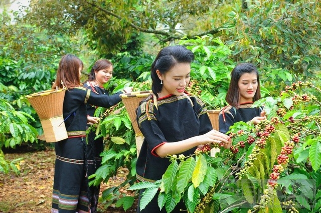 dong luc cho su phat trien vung tay nguyen nhanh va ben vung