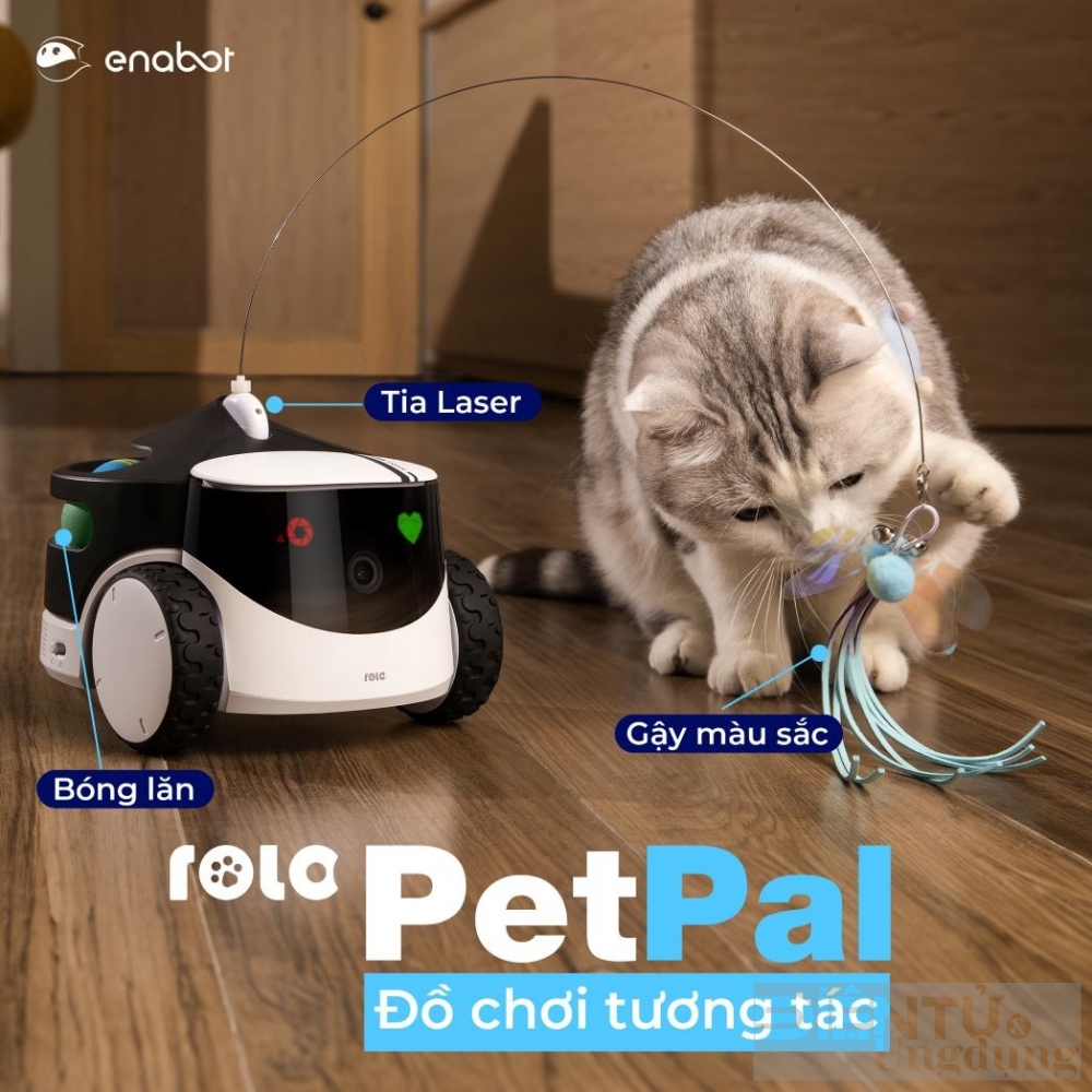 enabot rola petpal robot camera cham soc thu cung all in one