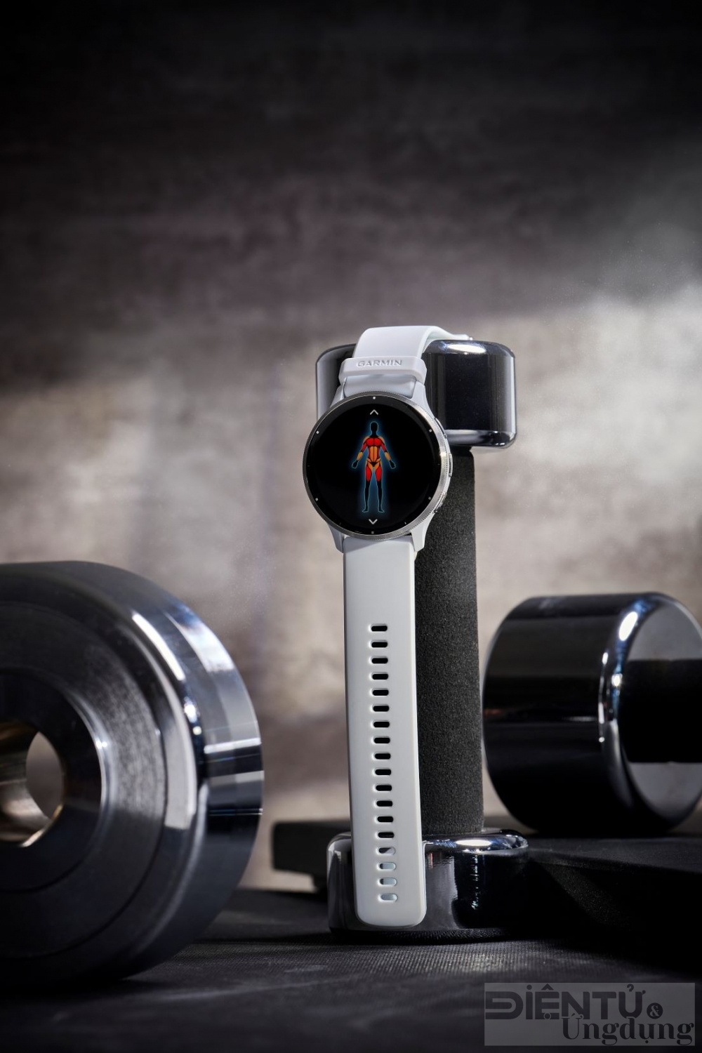 garmin ra mat bo doi dong ho thong minh gps venu 3 series garmin ra mat bo doi dong ho thong minh gps venu 3 series