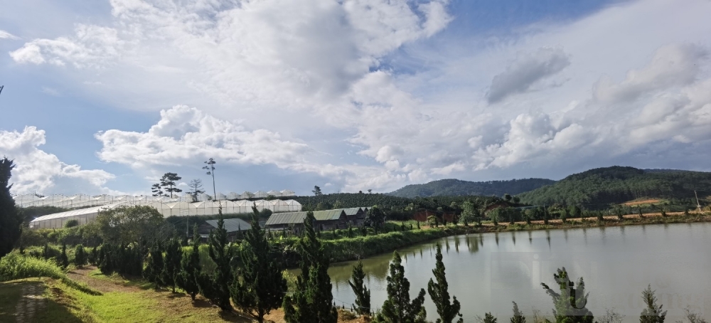 hanh trinh dam me trong ot cua yen nhi tu ban dia den quy hiem