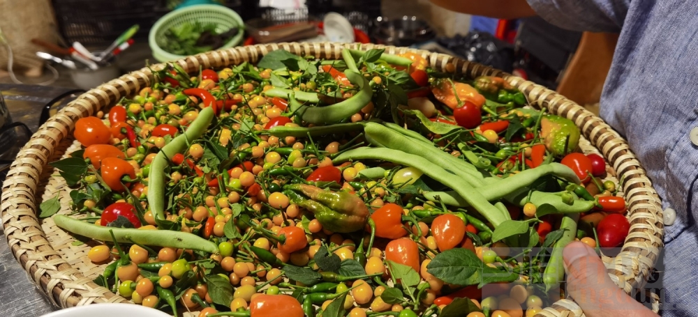 hanh trinh dam me trong ot cua yen nhi tu ban dia den quy hiem