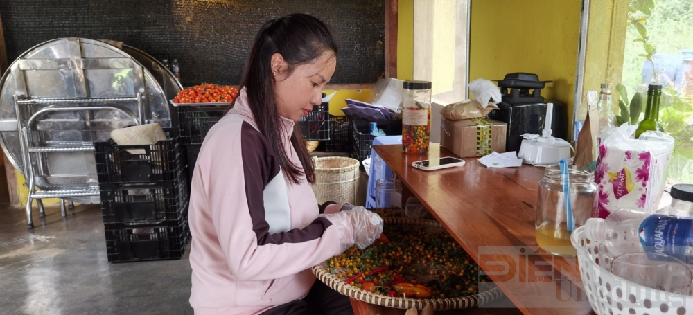 hanh trinh dam me trong ot cua yen nhi tu ban dia den quy hiem