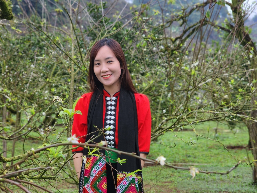 hoa dao hoa man vung cao khoe sac dip tet nguyen dan giap thin 2024