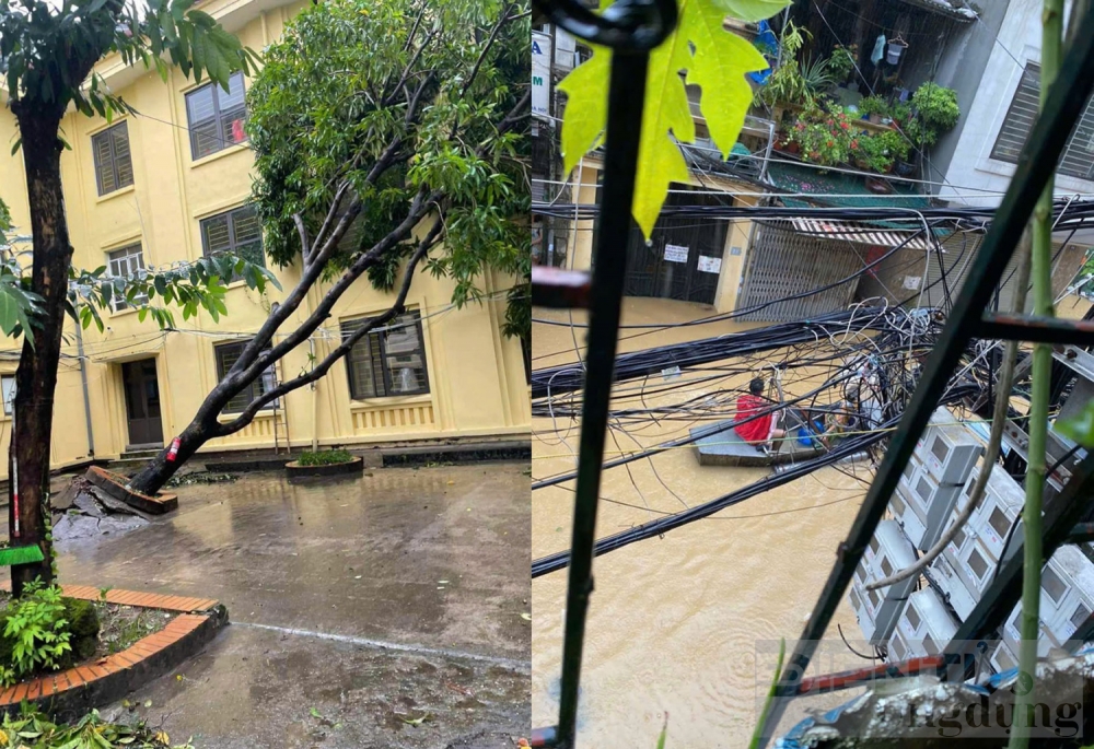 kien tri vuon len vi ngay mai cua sinh vien ha noi sau bao yagi