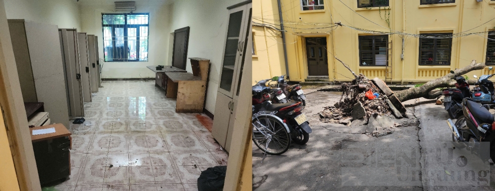 kien tri vuon len vi ngay mai cua sinh vien ha noi sau bao yagi