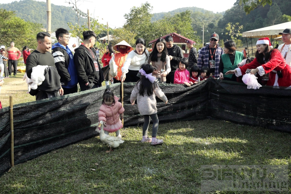le hoi camping 3 mien giang sinh 2023 su kien lon nhat danh cho nguoi yeu thich camping