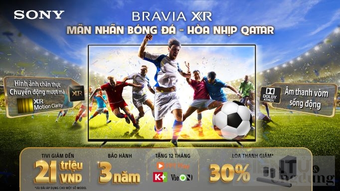 man nhan bong da hoa nhip qatar