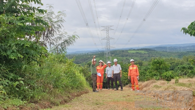 Bảo vệ an toàn hành lang lưới điện: Đảm bảo cung ứng điện quý 4/2023 và mùa khô 2024