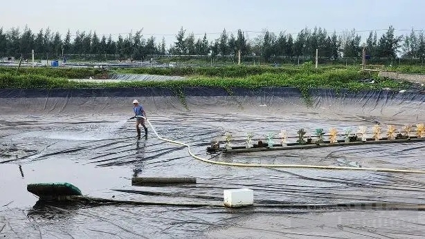 Chuyện lạ nuôi tôm công nghệ cao ở Thái Bình