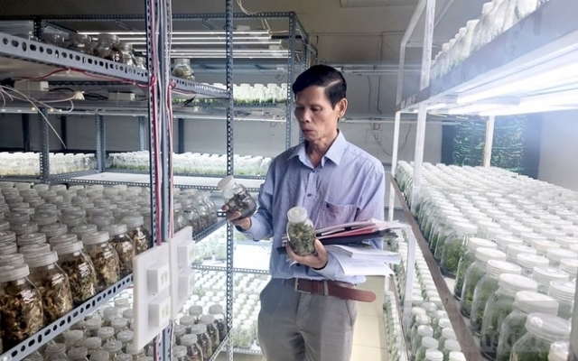 Hàng chục tỉ đồng cùng 2 đề tài khoa học tiêu tan vì vụ thi hành án 460 triệu đồng