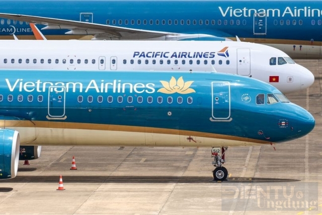 Pacific Airlines ghi nhận lỗ hơn 2,000 tỷ đồng