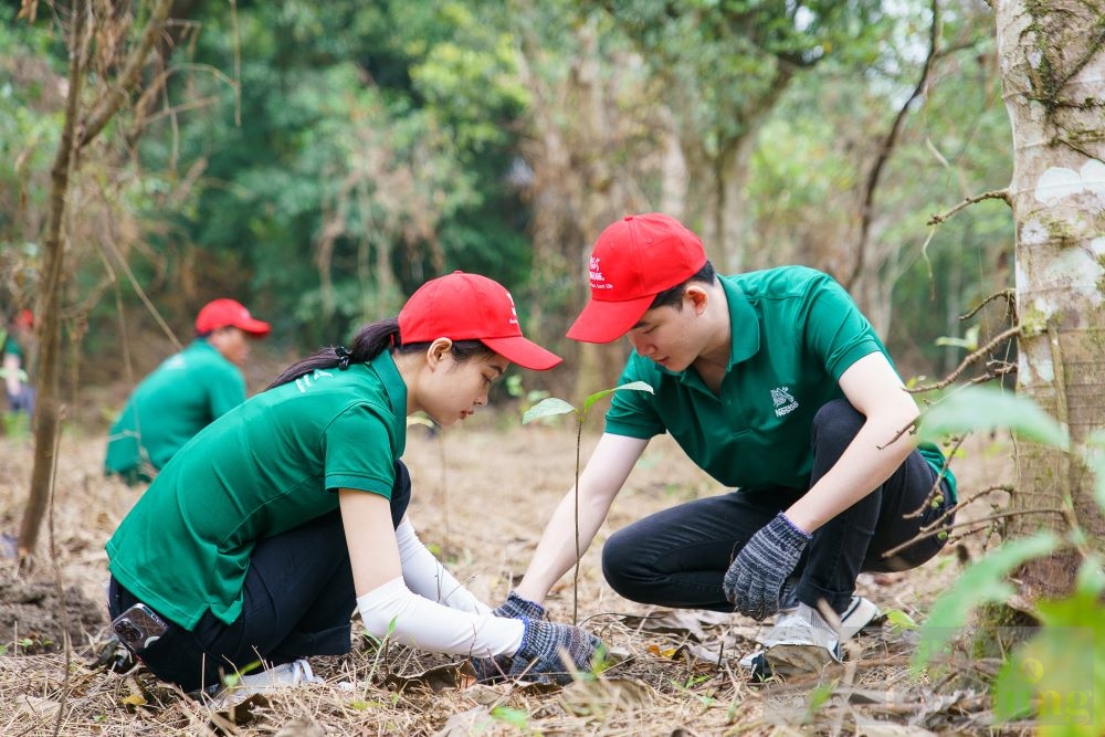 nestle viet nam chung tay cung nguoi dung hanh dong chong lai bien doi khi hau