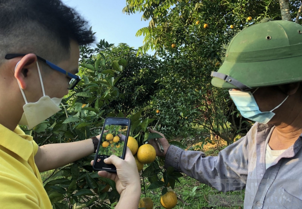 nhung giai phap thuc day phat trien thuong mai dien tu ben vung