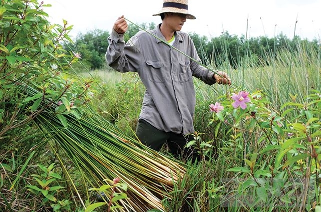 ong hut lam tu co duoc nguoi nuoc ngoai ua thich