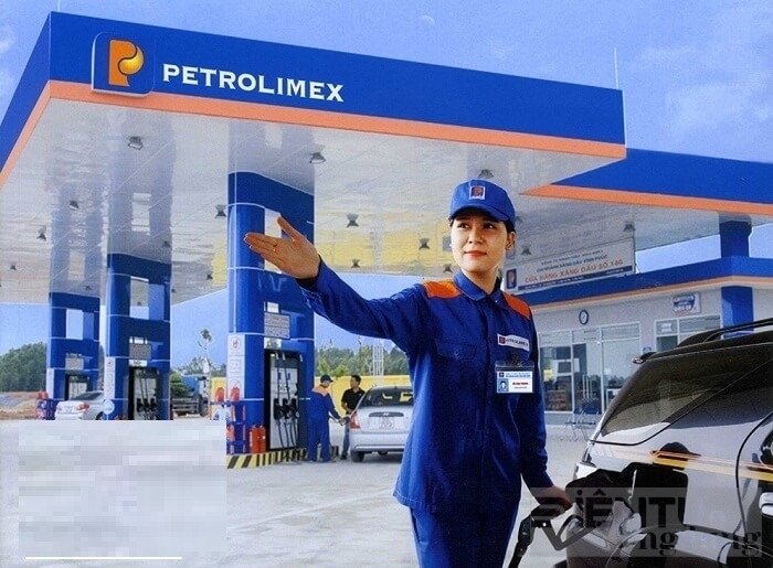 petrolimex ghi nhan loi nhuan gap doi so voi nam truoc va duy tri mot luong tien mat gan 30 ngan ty dong