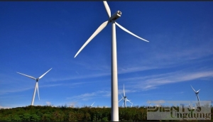 Việt Nam bảo đảm vững chắc an ninh năng lượng quốc gia Bộ Công an yêu cầu EVN cung cấp hồ sơ 32 nhà máy điện gió, điện mặt trời