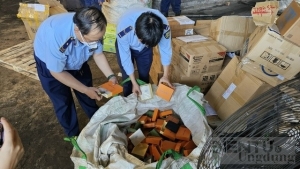 Vấn nạn lợi dụng sàn thương mại điện tử để tiến hành buôn bán hàng cấm và hàng giả